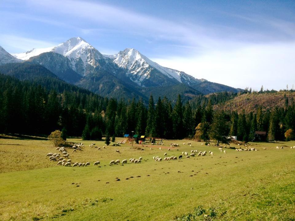 Hotel Magura Ждяр Экстерьер фото